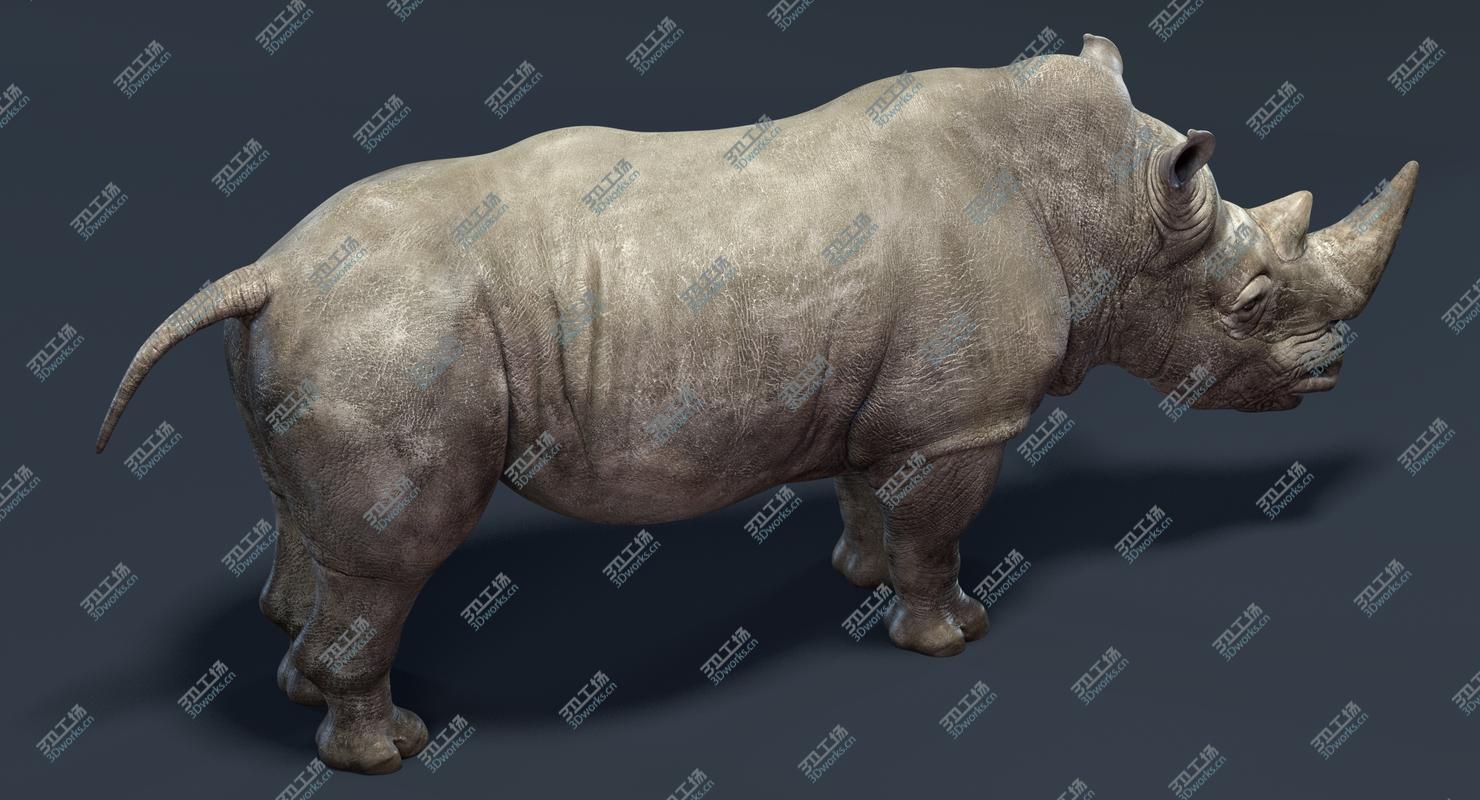images/goods_img/20210319/3D Rhino/5.jpg